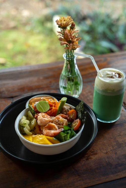 Nutrición para rendimiento